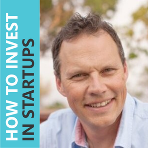 Investor Connect – Episode 333 – Brett Commaille of Hlayisani Capital