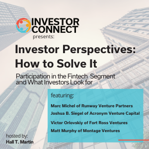 Investor Perspectives – How to Solve the Fintech Problem: Participation in the Fintech Segment and What Investors Look for