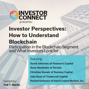 Investor Perspectives – How to Understand Blockchain: Participation in the Blockchain Segment and What Investors Look for