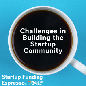 Challenges in Building the Startup Community