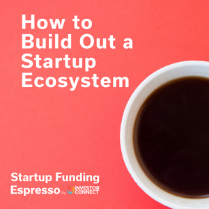 How to Build Out a Startup Ecosystem